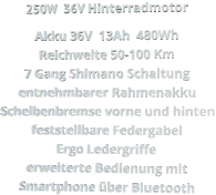 250W  36V Hinterradmotor Akku 36V  13Ah  480Wh Reichweite 50-100 Km 7 Gang Shimano Schaltung entnehmbarer Rahmenakku Scheibenbremse vorne und hinten feststellbare Federgabel Ergo Ledergriffe erweiterte Bedienung mit Smartphone über Bluetooth